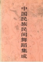 中国<em>民族</em>民间舞蹈集成  广西卷  下
