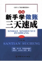 新编新手学做账三天<em>速成</em>