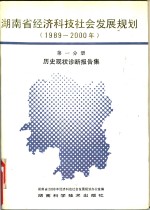 湖南省经济科技社会发展规划  1989-2000<em>年</em>  第1分册  历史现状诊断报告集