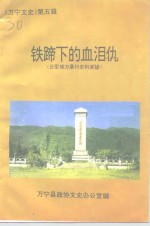 万宁文史  第5辑  铁蹄<em>下</em><em>的</em><em>血泪</em>仇  日军侵万暴行史料专辑