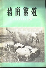 猪的繁殖
