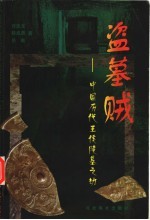 盗墓贼  中国历代王侯陵墓之劫