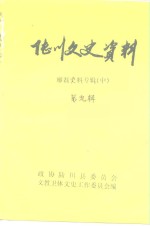 陆川文史资料  第9辑  廖磊史料专辑  中