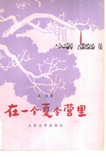 在一个夏令营里