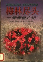 梅林尽头  青春流亡记