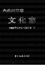 六盘水<em>市<em>志</em></em>  文化<em>志</em>
