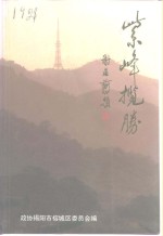 紫峰<em>揽胜</em>