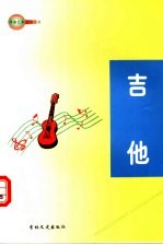 中国艺术百科全书  吉他