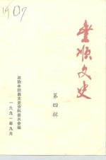 丰顺文史  第4辑