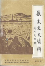 集美文史资料  第11辑  纪念辛亥革命90周年专辑