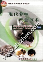 现代养鸭产业<em>技术</em>