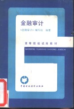 金融<em>审计</em>