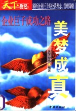 美梦成真  企业巨子成功之路