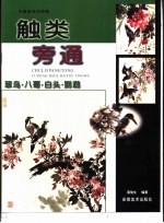 触类旁通  中国画技法新解  翠鸟·八哥·白头·鹦鹉