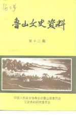 <em>鲁山</em>文史资料  第12辑