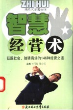 智慧经营术  征服社会、驰骋商场的146种经营之道