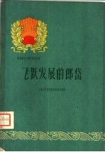 飞跃发展的<em>郎</em>岱