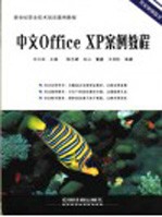 中文Office XP案例<em>教程</em>