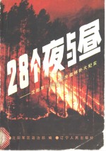 28个夜与昼  <em><em>沈阳</em><em>军区</em></em>大兴安岭扑火纪实