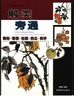 触类旁通  中国画技法新解  橘柑·香圆·桂圆·西瓜·佛手