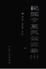民国宁夏风云实录  第10卷