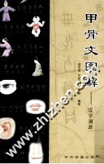 甲骨文图解  汉字溯源