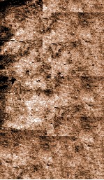 国朝书人辑略  <em>卷</em><em>10</em>-<em>11</em>