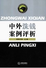 中外洗钱案例评析