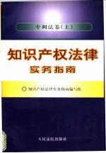 <em><em>知识</em><em>产权</em></em>法律实务指南  专利法卷  上