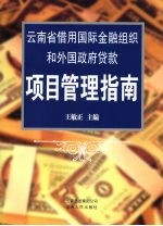 云<em>南省</em>借用国际金融组织和外国贷款项目管理指南