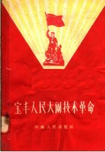 <em>宝丰</em>人民大闹技术革命