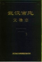 武汉<em>市志</em>  文物志
