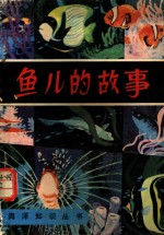 鱼儿的故事