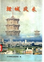 鲤城风采  通讯、报告文学集