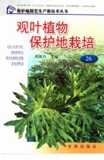 观叶植物保护地栽培