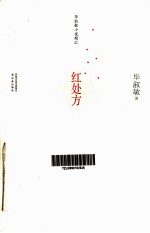 毕<em>淑敏</em>小说精汇  红处方