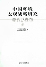 中国环境宏观战略研究  综合报告卷  下
