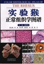 <em>实验</em>猴正常<em>组织</em>学图谱