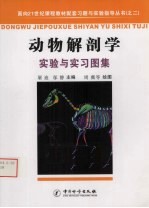 <em>动物</em>解剖<em>学</em><em>实验</em>与<em>实习</em>图集