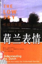 低矮的天空  <em>荷</em>兰表情