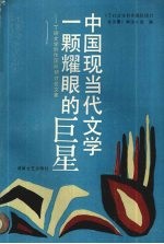 中国现当代文学一颗耀眼的巨星  丁玲文学创作国际研讨会文集