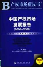 中国产权市场发展报告  2009版