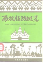 西双<em>版纳</em>概览