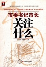 市委书记<em>市长</em>关注什么