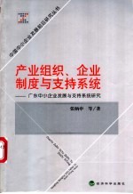 产业组织、企业制度与支持系统  广东中小企业发展与支持系统研究