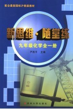 随堂新思维  九年级化学