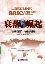 衰落与崛起  金砖四国构建新世界
