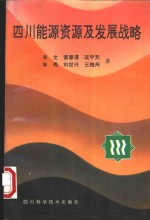 四川能源资源及发展战略