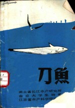 刀鱼