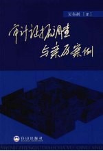 审计证据调查与亲历案例  经济违法违规问题和经济案件